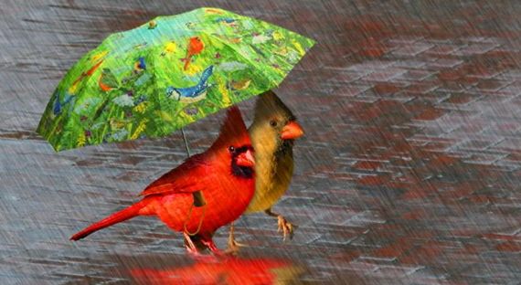 Погода в Хакасии, 8 апреля: Дождливый апрельский денек