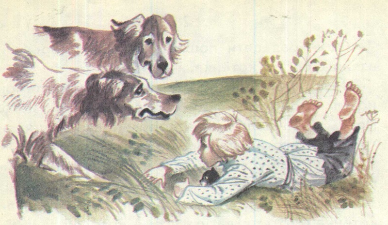 Сказки Льва Николаевича Толстого помогут малышу понять окружающий мир