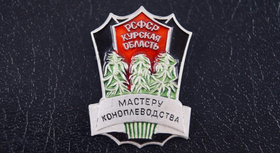 Правительство РФ оценит возможность выращивания конопли на ресторанных отходах