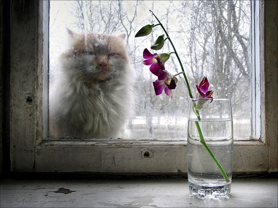 Погода в Хакасии 18 апреля: а за окном печальная картина...