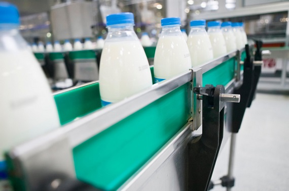 Весной на прилавках магазинов появится молоко из Первомайского