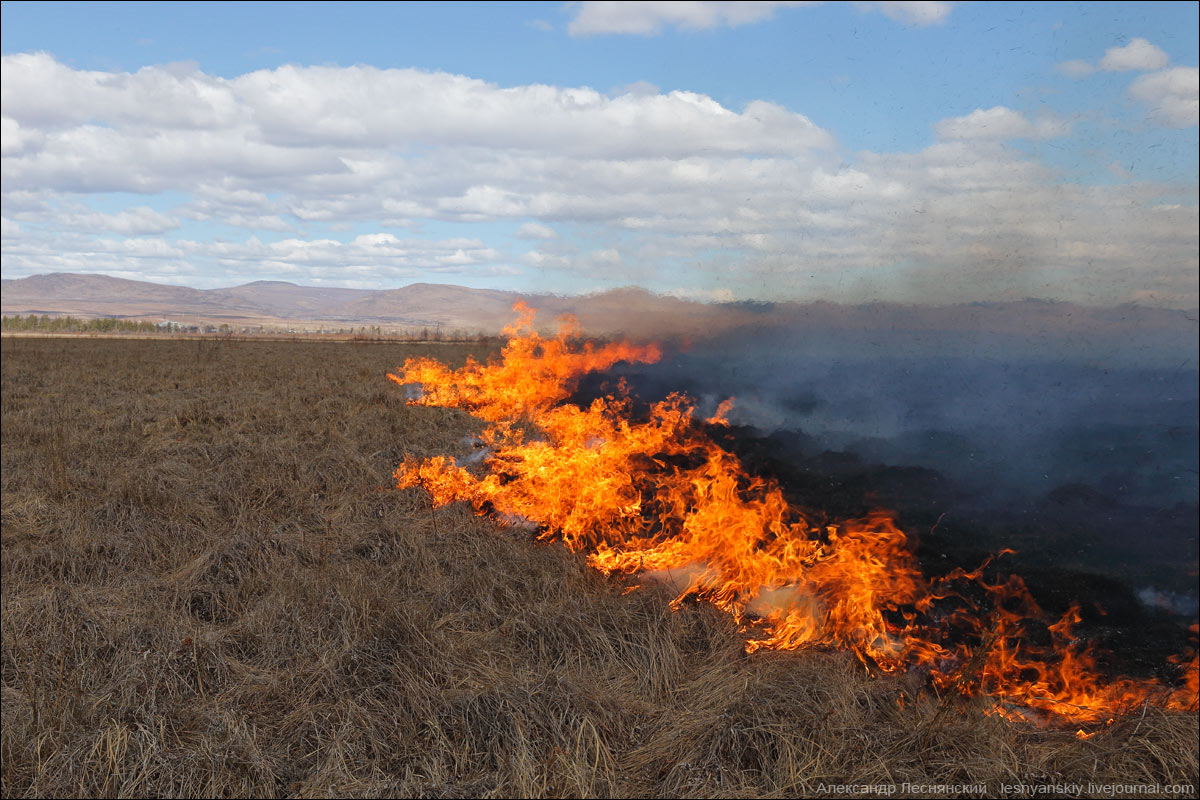 В Хакасии тушат степные пожары