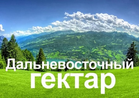 Всем берущим «дальневосточный гектар» обещан кредит до 600 тысяч рублей