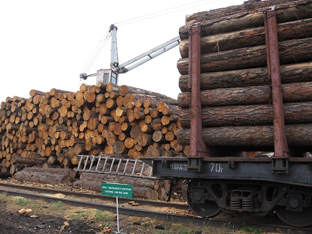 Из Хакасии стали все больше вывозить лес на экспорт