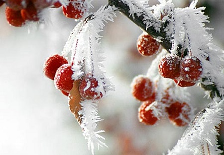 Погода в Хакасии 7-9 февраля: мороз-воевода дозором обходит республику всю