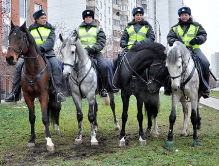 В Хакасии на службу заступила конная полиция