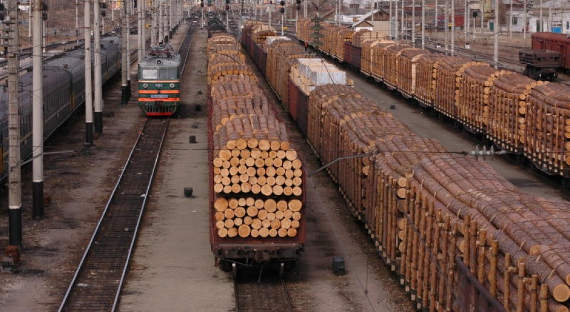 Лесопромышленники просят у Мишустина снижения пошлин