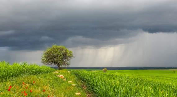 Погода в Хакасии 29 июня: Дождик возвращается