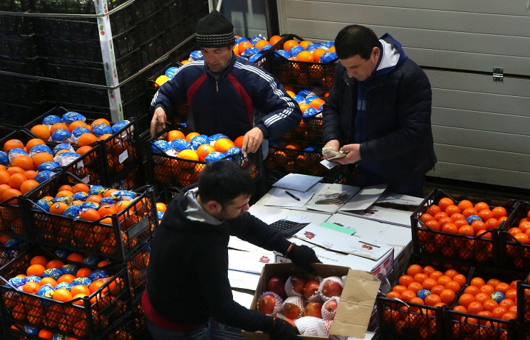 Сирия начала поставки фруктов в Россию