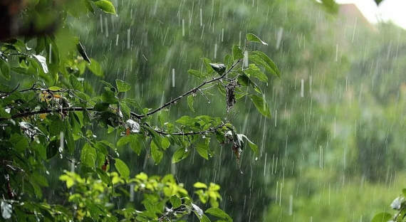 Погода в Хакасии: Дожди и ветер