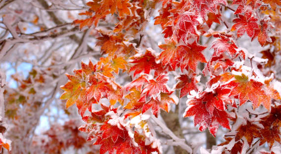 Погода в Хакасии 4 ноября: В республику пришли суровые заморозки