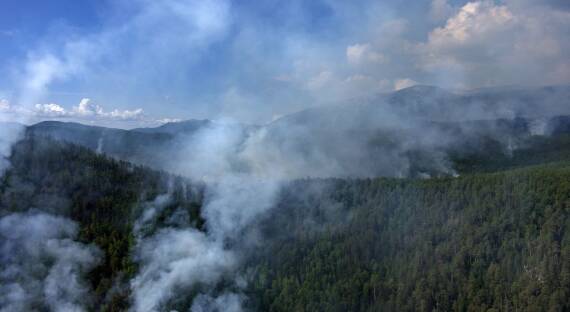 В Хабаровском крае растет число лесных пожаров