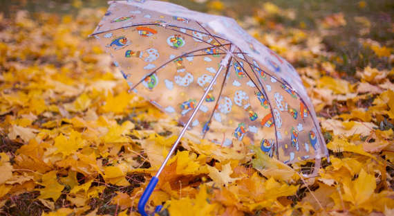 Погода в Хакасии 2 ноября: Последний дождь в этом году?