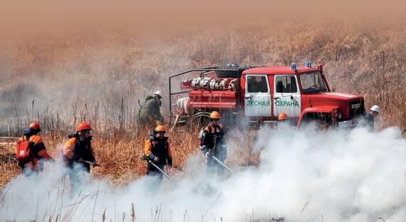 В России вступили в силу новые правила тушения лесных пожаров