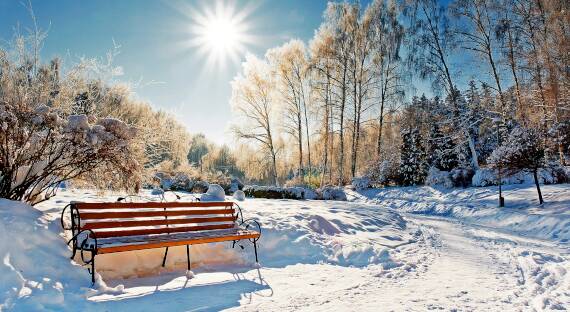 Погода в Хакасии 25 декабря: Прохладно и солнечно