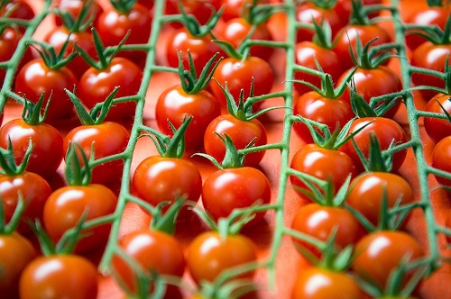 Они возвращаются: турецкие помидоры снова появятся на российском рынке