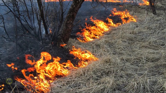 Пожарные Хакасии выезжали тушить мусор и траву 16 раз