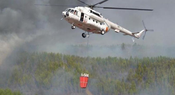 Пожароопасный сезон в России может начаться раньше обычного