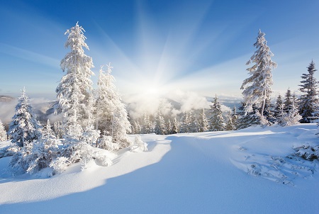 Погода в Хакасии 31 января: умеренность в погоде – спокойствие в народе