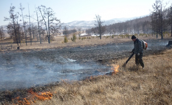 Два лесных пожара действуют в Хакасии
