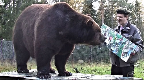 В финской галерее выставили картины, нарисованные медведем