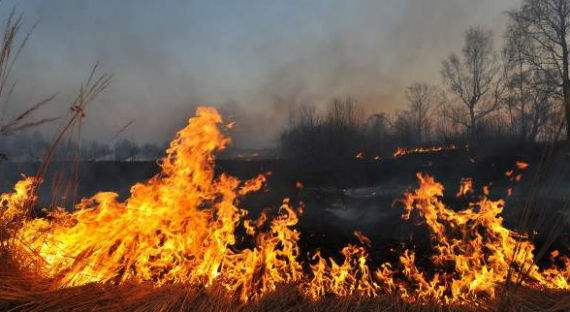 В Хакасии семья из-за пожара лишилась сена