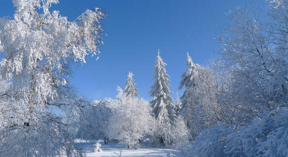 Погода в Хакасии 21 января: Настоящая зима