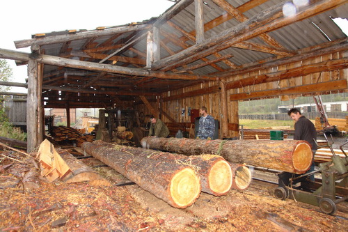 Началась заготовка древесины для погорельцев Хакасии