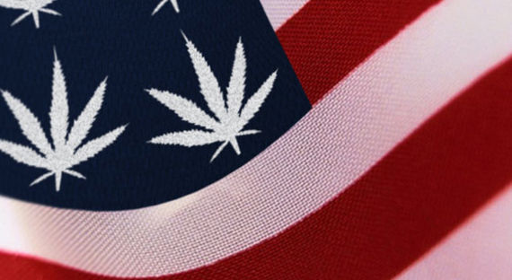 В Нью-Йорке готовятся к легализации марихуаны
