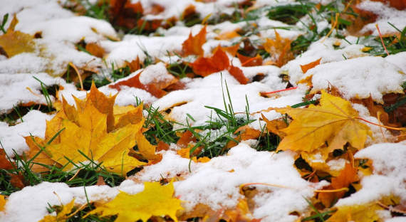 Погода в Хакасии 13 октября: Синоптики вновь пообещали снег
