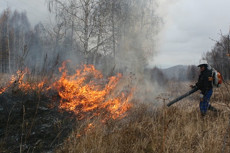 В Хакасии горит лес