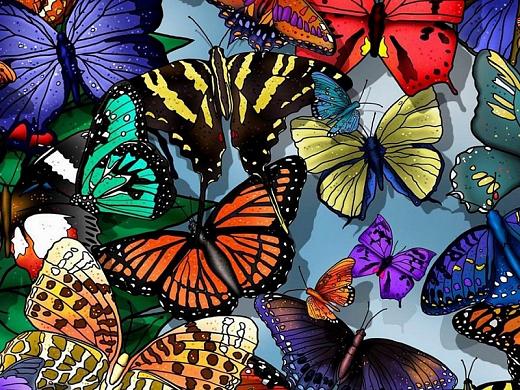 В музейно-культурном центре Хакасии летают тропические бабочки