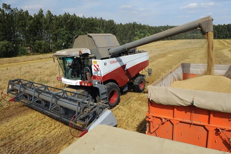 В России спрогнозировали рекордный урожай зерна