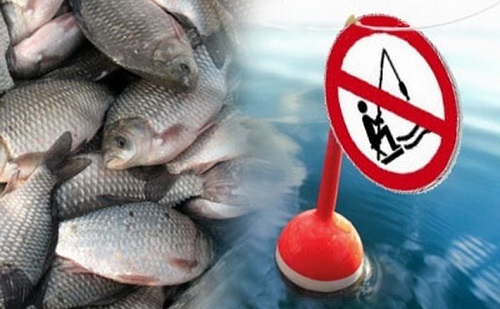 Власти Хакасии решили ограничить рыбалку в верховьях реки Абакан