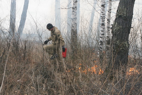 Хакасия решила бороться с лесными пожарами огнем
