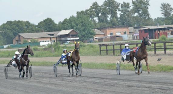 В Абакане прошли соревнования среди сельских конников Хакасии