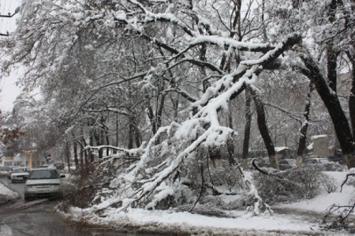 Засыпавший Хакасию снег принес первые проблемы (ФОТО, текстовая онлайн-трансляция)