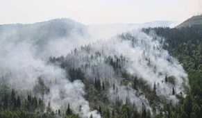 Лесные пожары у соседа Хакасии полностью потушили