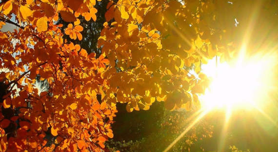 Погода в Хакасии 5 октября: Теплое солнце и северный ветер