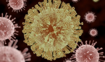 В США зафиксирована передача вируса Зика от человека к человеку. Новый СПИД?