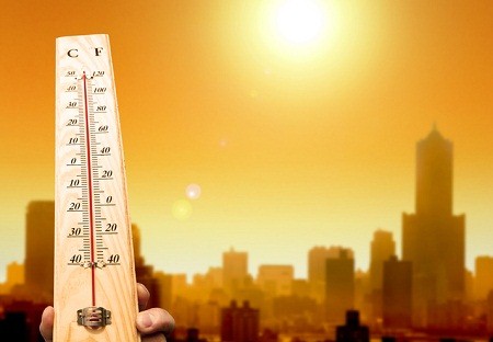 В Хакасию пришла аномальная жара
