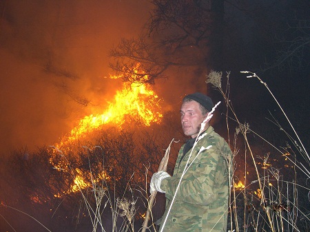 В Хакасии уменьшилась площадь лесных пожаров