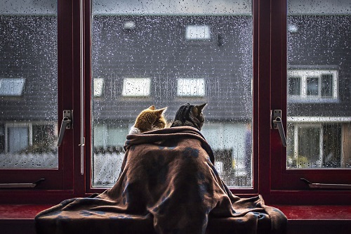 В такую погоду свои дома сидят: на Хакасию идут дожди, грозы и ветер