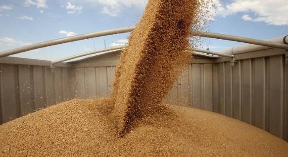 Россия отменила экспортную пошлину на пшеницу