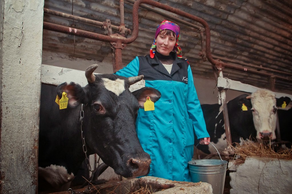 В Хакасии работница сельхозпредприятия работала без выходных и зарплаты