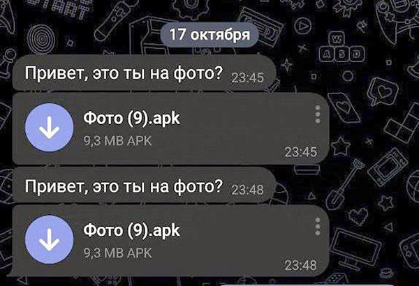 Черногорские полицейские поймали кибермошенника