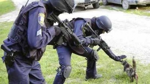 Полиция Швеции бежала от толпы мигрантов