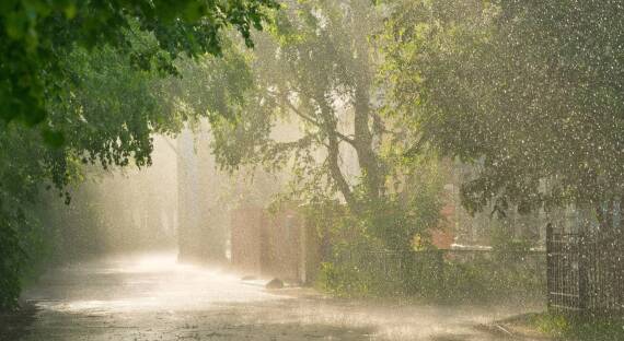Погода в Хакасии 4 августа: Дожди на весь день