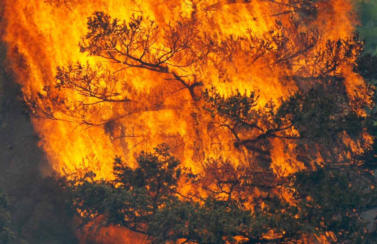 Ветер и резкое потепление могут спровоцировать волну пожаров в Хакасии
