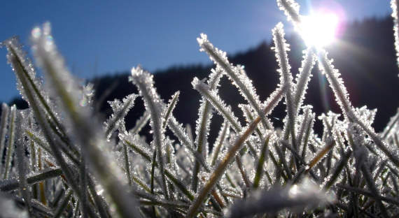 Хакасские метеорологи предупреждают о заморозках до -2 градусов
